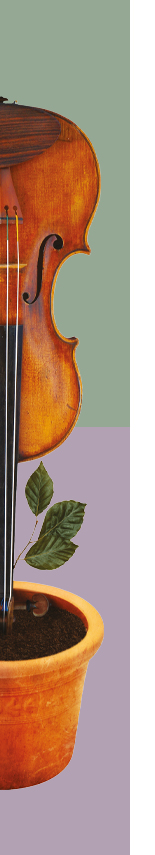 vert violoncelle alto