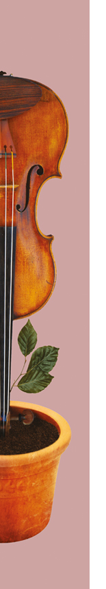 flute rose