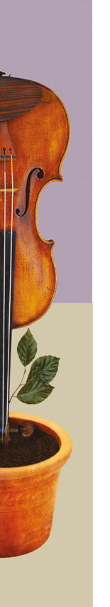 violoncelle contrebasse